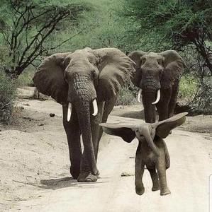 Meet your Posher, Sandy